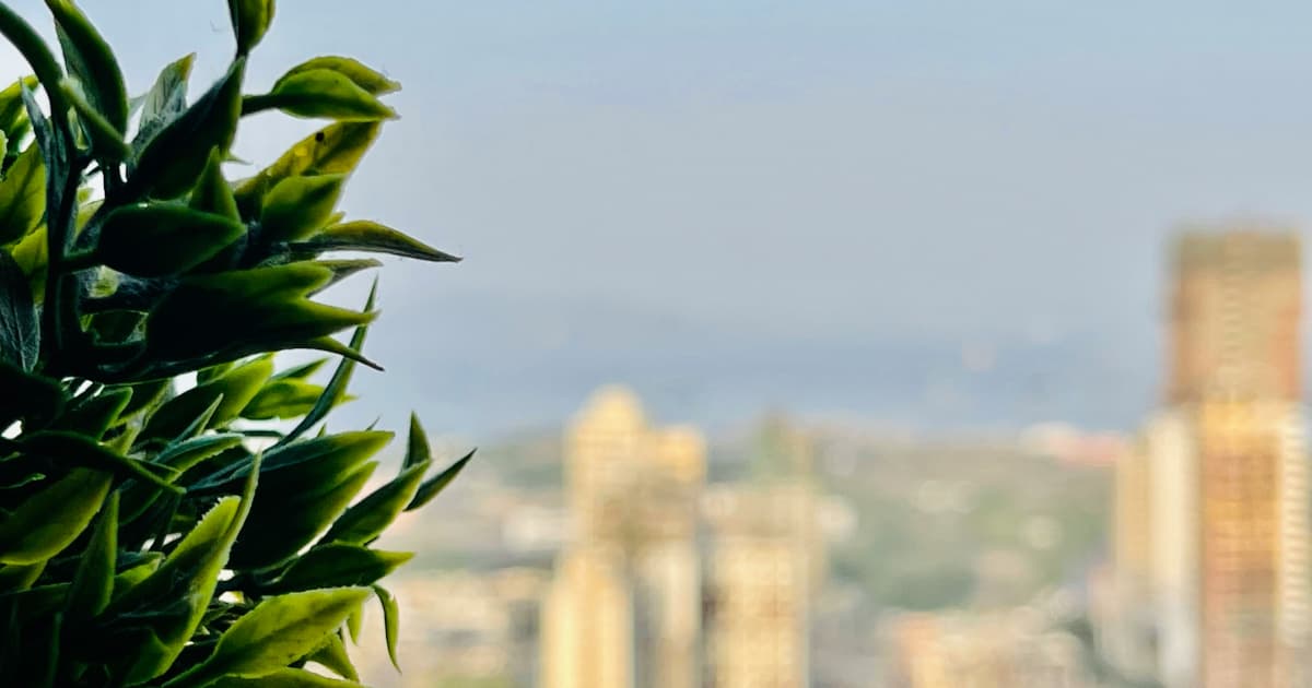 Park Rangers Remove Nearly 3,000 Illegal Cannabis Plants from Sequoia National Park
