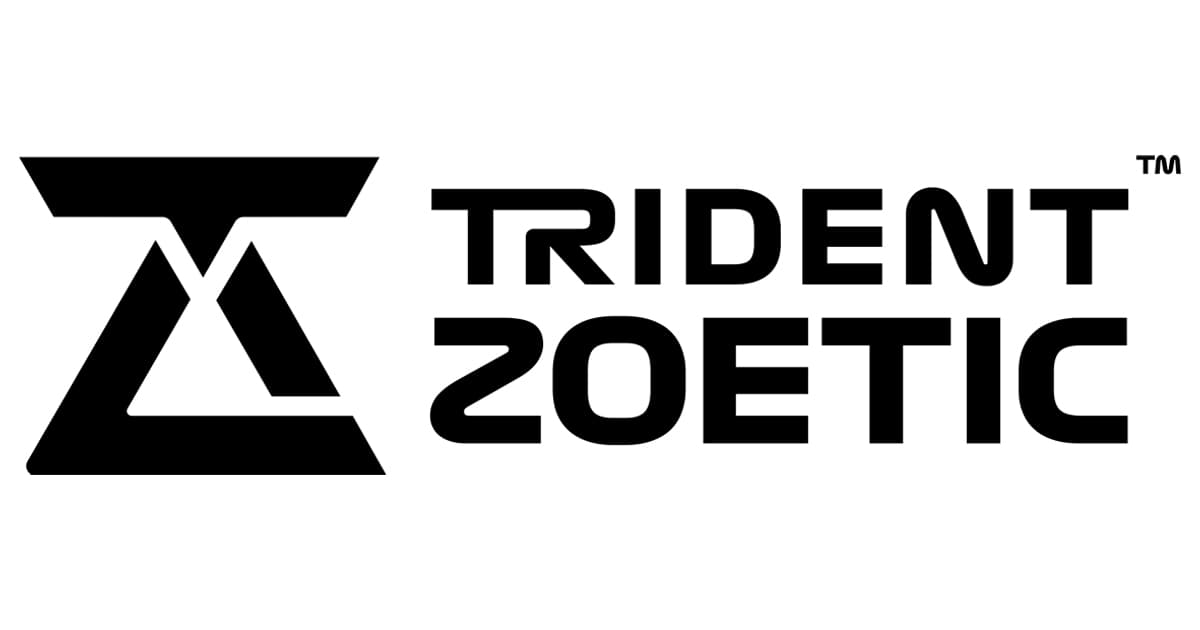 Trident Zoetic Expands Executive Team to Accelerate Global Infrastructure Development