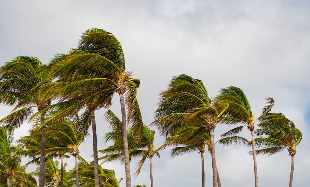 Coastal Commercial Real Estate Underwriting Ignores Hazard-Driven Income Loss, Expert Warns