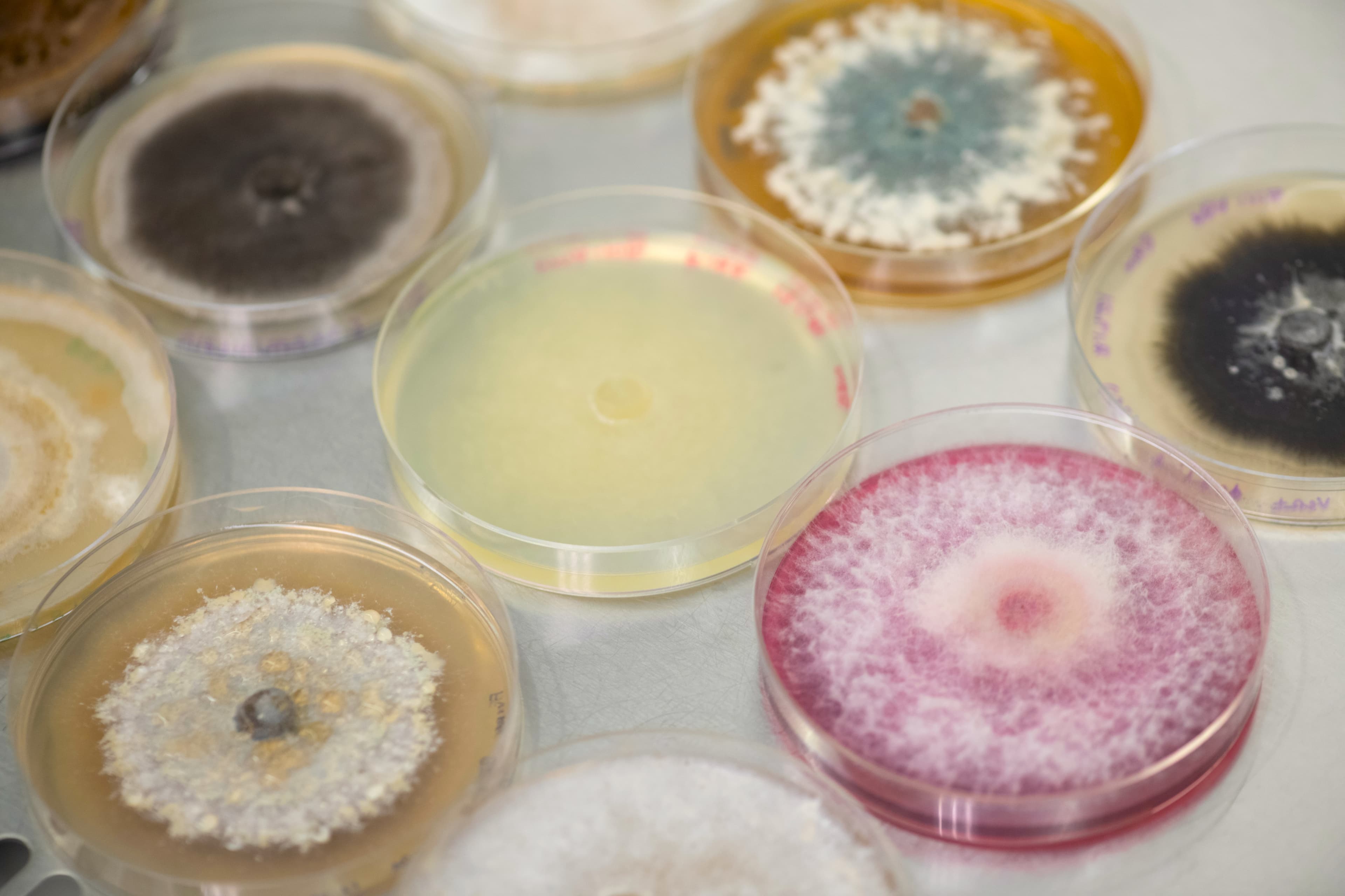 Jord BioScience Raises Series B Funding to Accelerate Agricultural Microbial Solutions