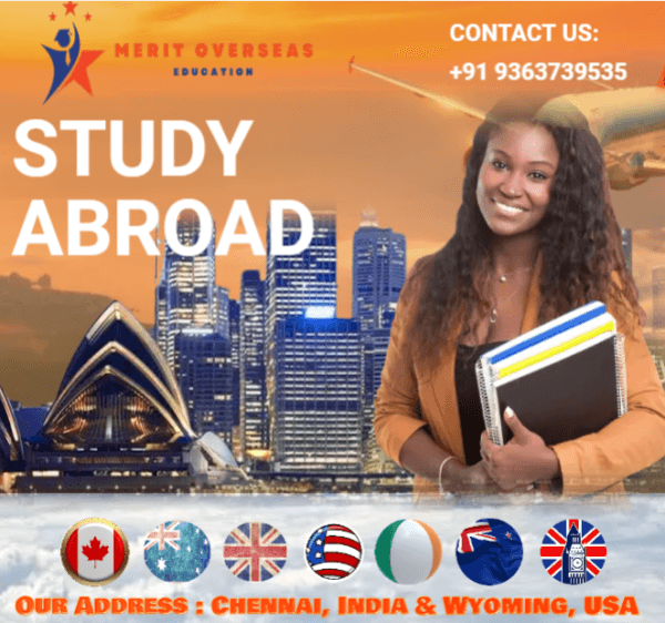 Merit Teacher Expands Educational Services with Advanced Career Development Tools