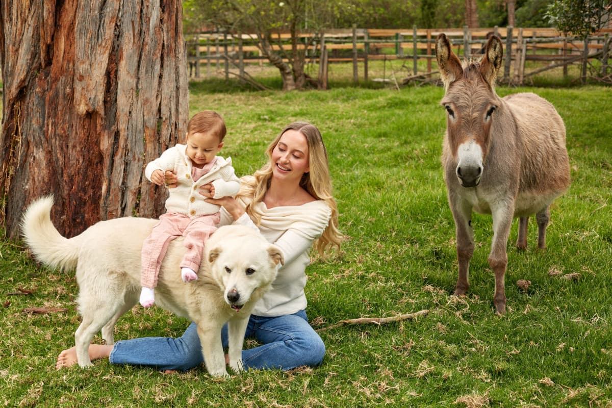 Search Atlas Founders Open Permanent Animal Sanctuary in Colombia, Supported by AI SEO Platform