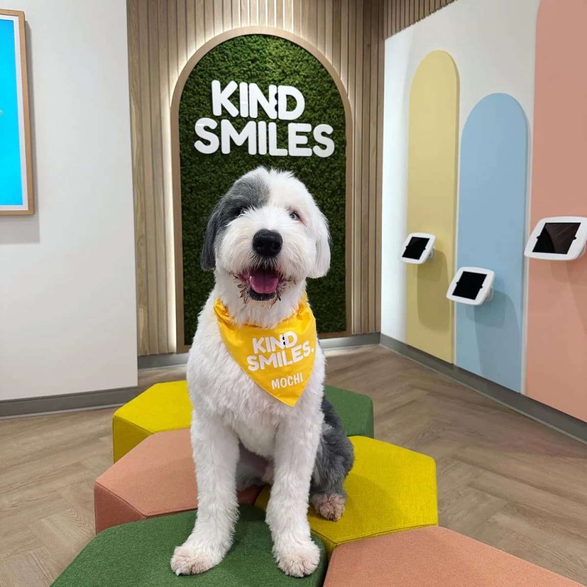 Kind Smiles Orthodontics Releases Comparison Guide for Orange County Families Seeking Orthodontic Care