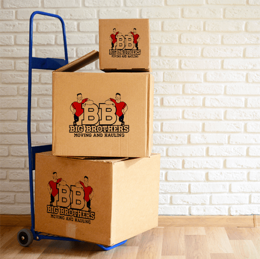 Mastering the Move: Expert Packing Strategies to Reduce Relocation Stress