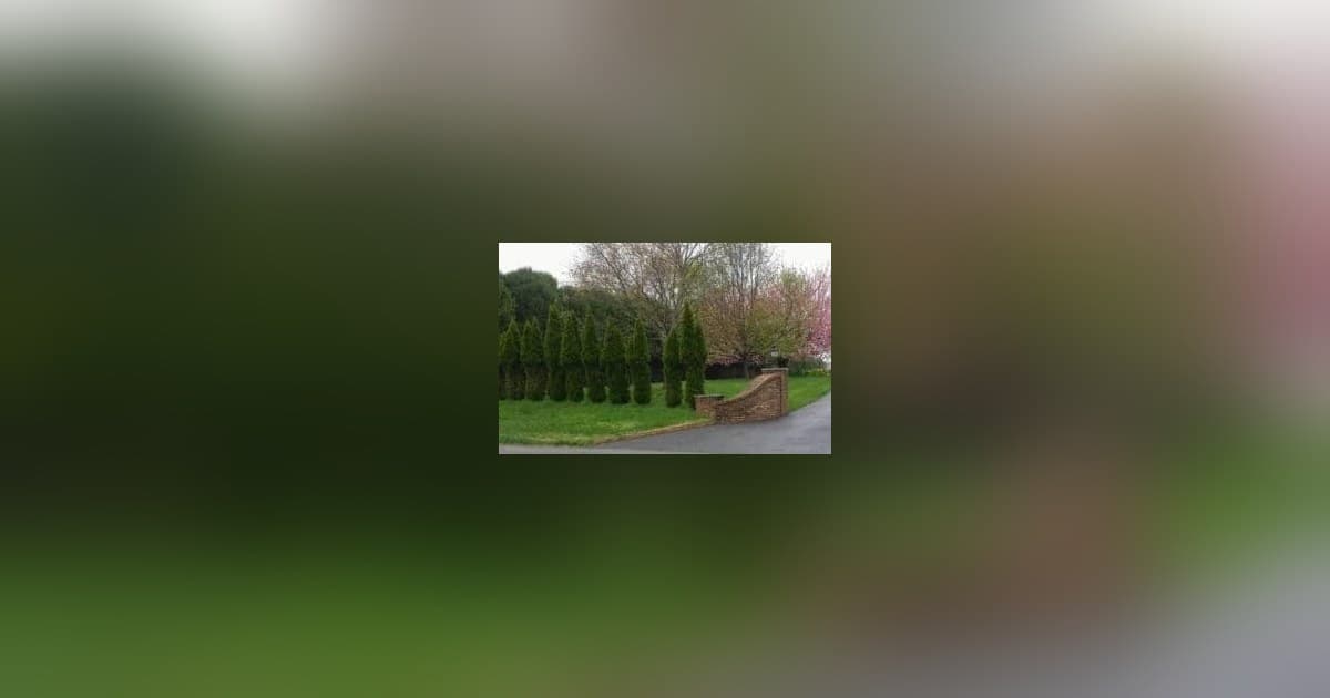 Deer Mating Season Spurs Warning for Tennessee Homeowners and Drivers