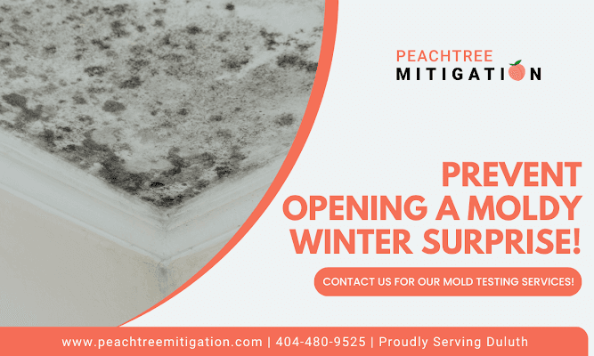 Duluth Restoration Firm Urges Homeowners to Address Hidden Mold Risks Through Proactive Testing