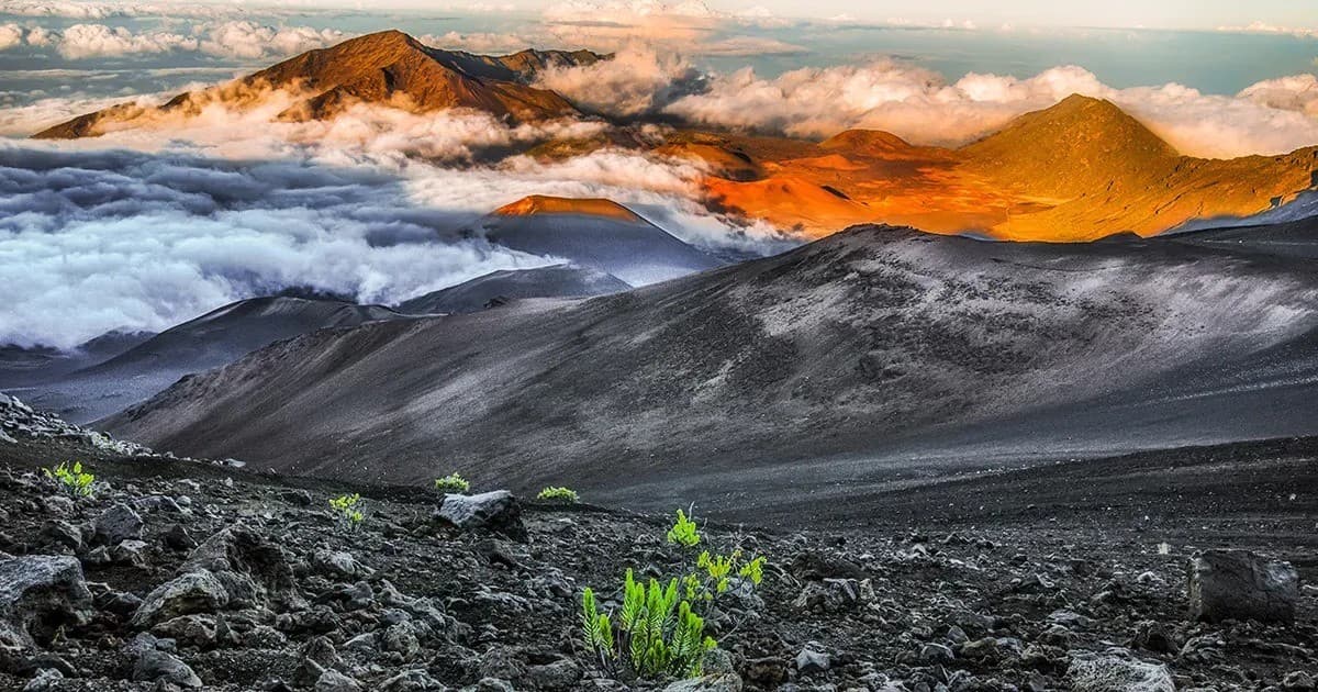 This Week Hawaii Marks 60th Anniversary with Digital Tracking Tools for Advertisers