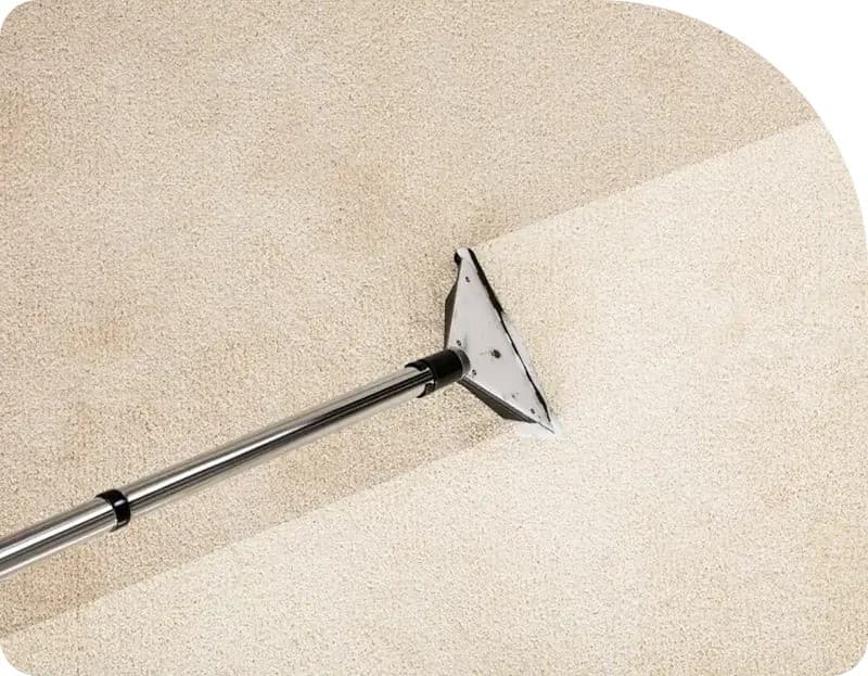 Flood Squad's Technological Advancements Redefine Water Damage Restoration Standards in Sydney