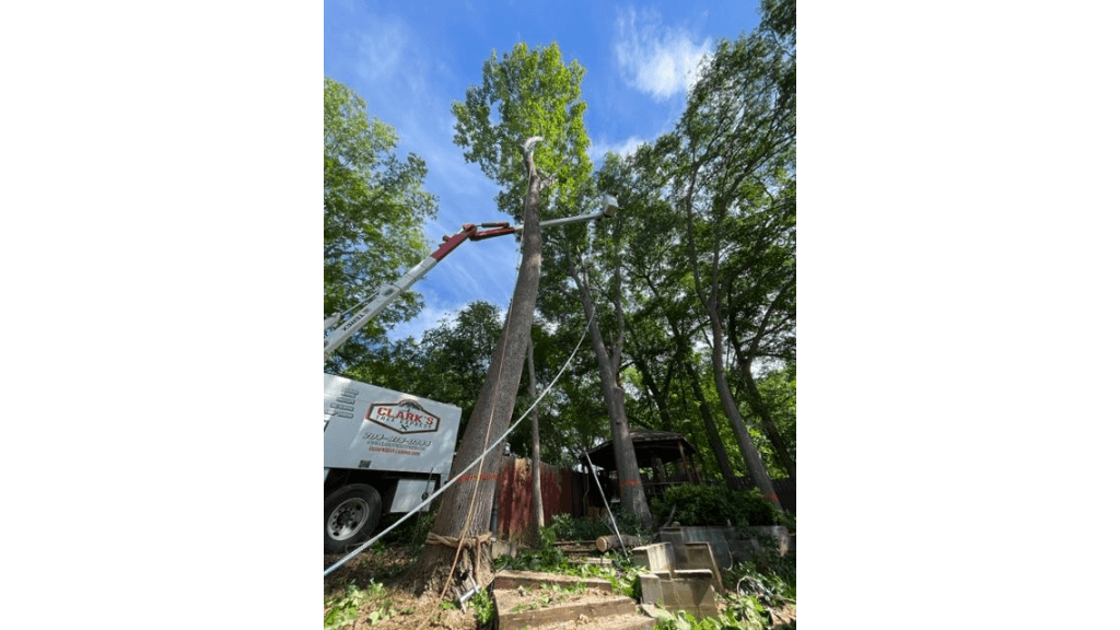 Clarks Tree Express Deploys 121-Foot Spider Lift for Enhanced Storm Response in North Carolina