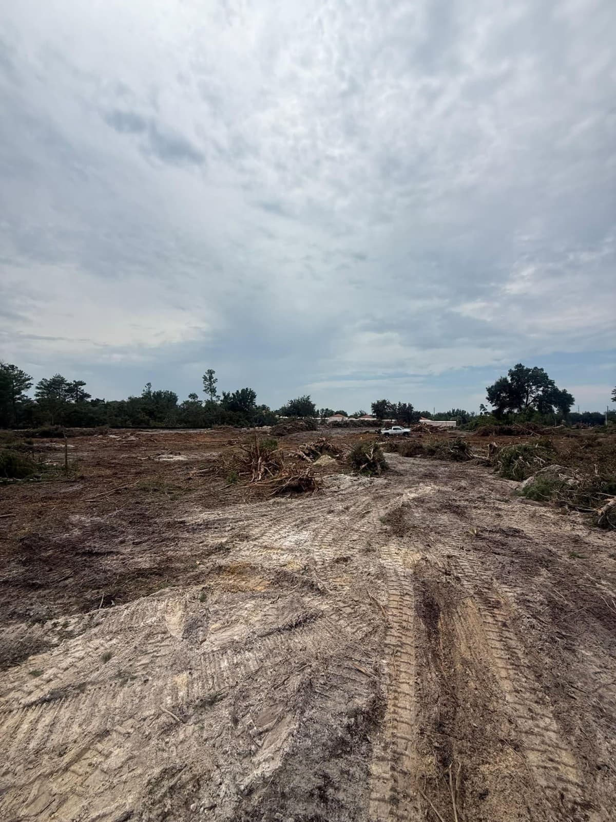 VB Tree Removal Unveils Comprehensive Guide to Land Clearing and Forestry Mulching
