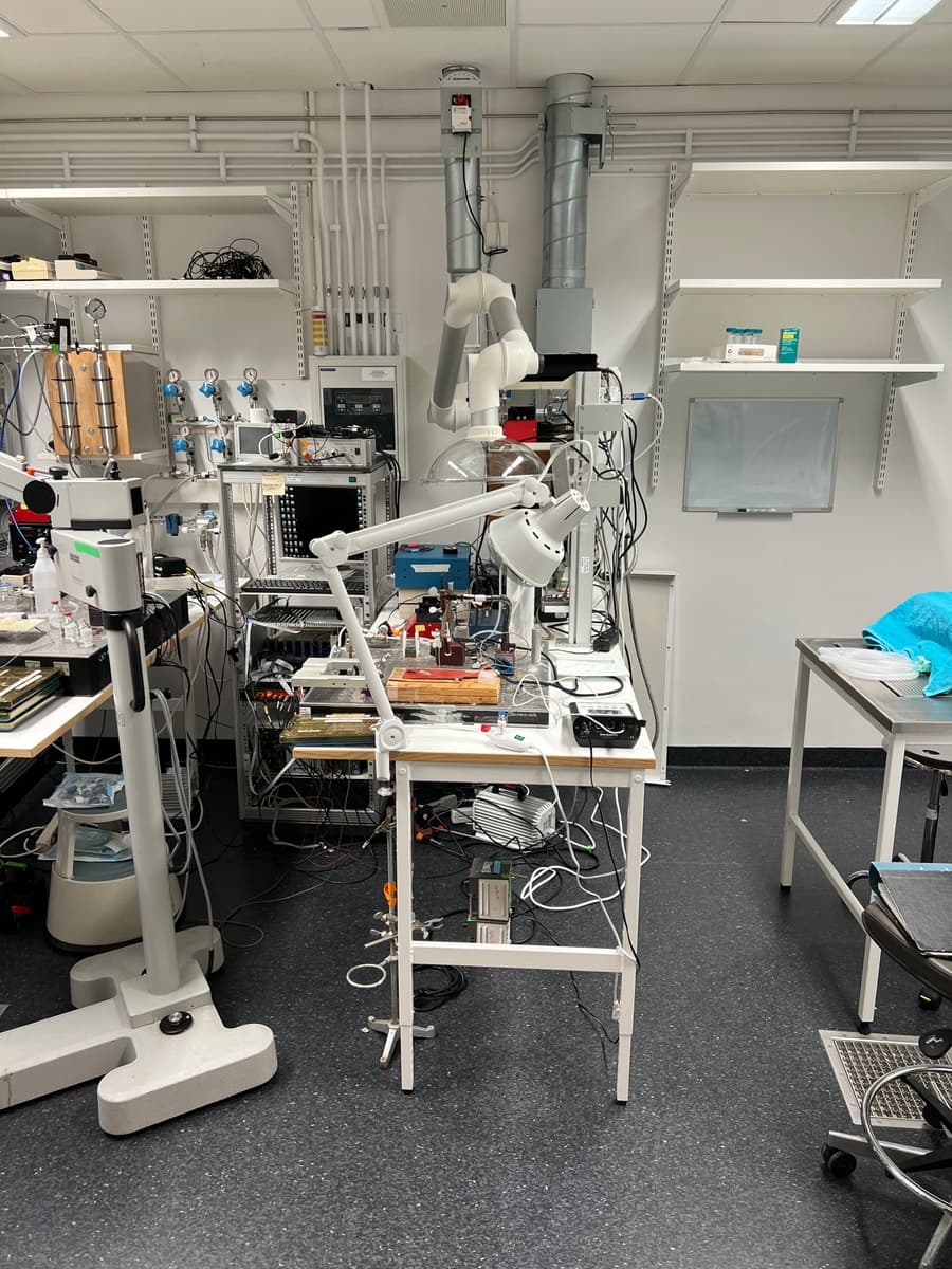 Leksum Study Shows Promise for Extracellular Vesicles in Treating Muscle Myopathy