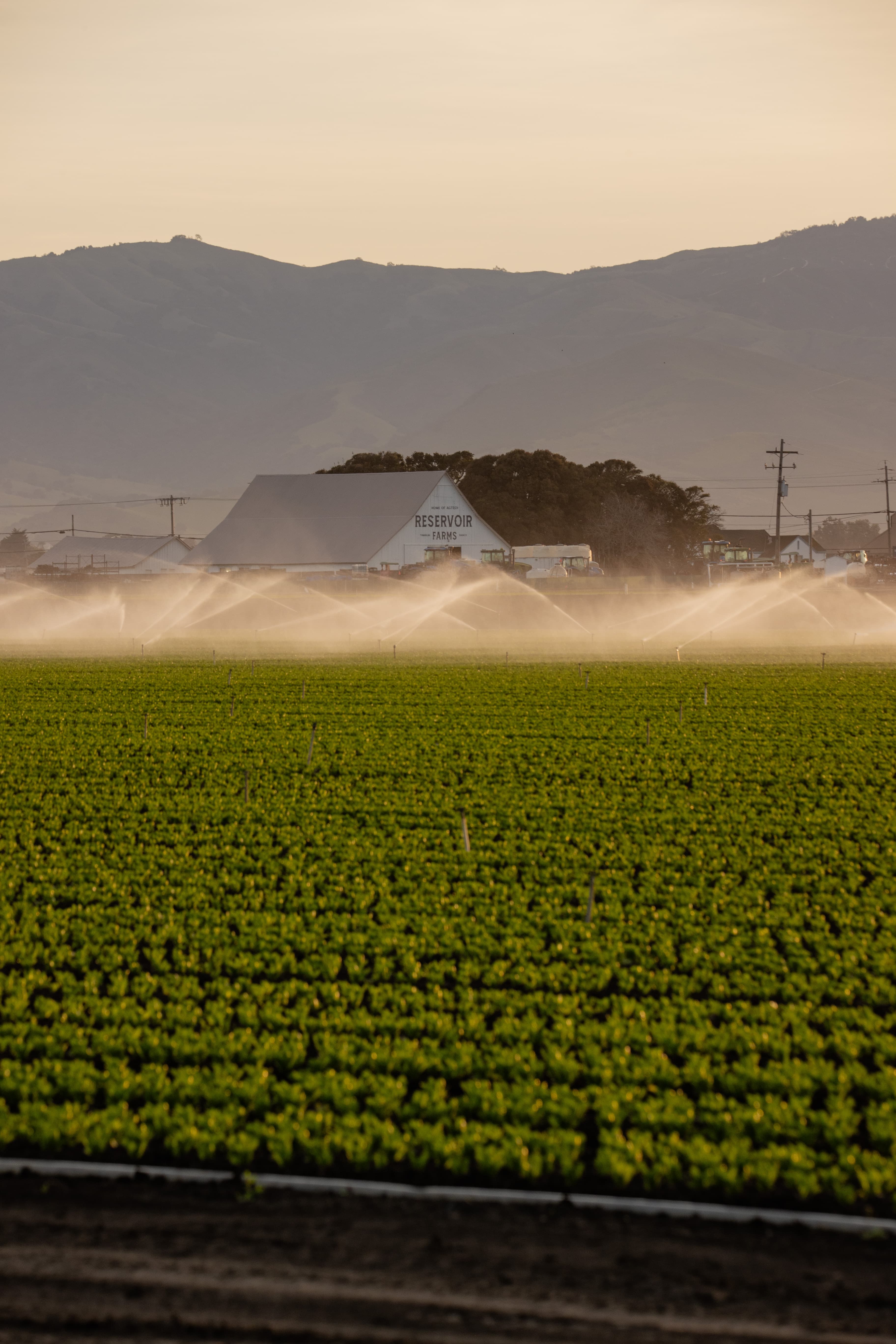 Reservoir Introduces Free Associate Tier to Lower Barriers for AgTech Innovation
