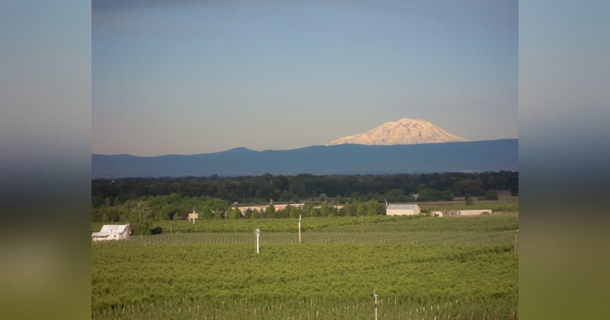 Reservoir Farms to Open Washington State Hub for Physical AI in Tree Fruit and Blueberries