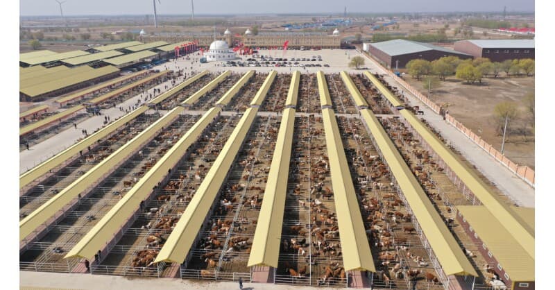 Hinggan League Showcases Agricultural and Cultural Tourism in Beijing Carnival