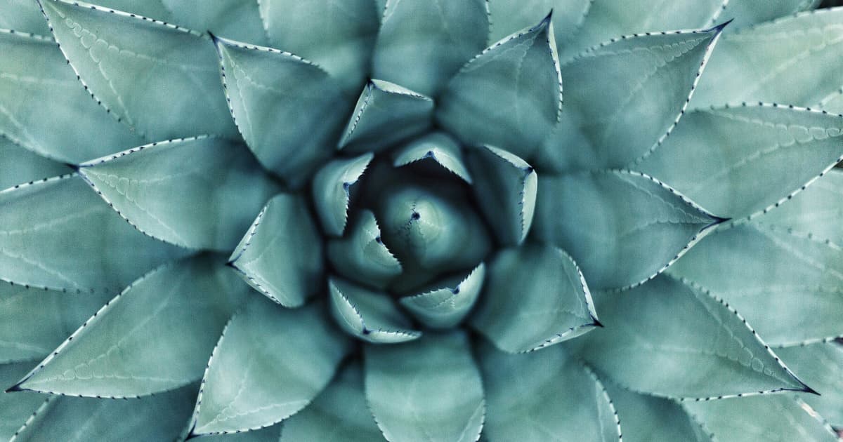 Therapeutic Massage Fort Worth Opens at Salon & Spa Galleria with Veteran Therapist