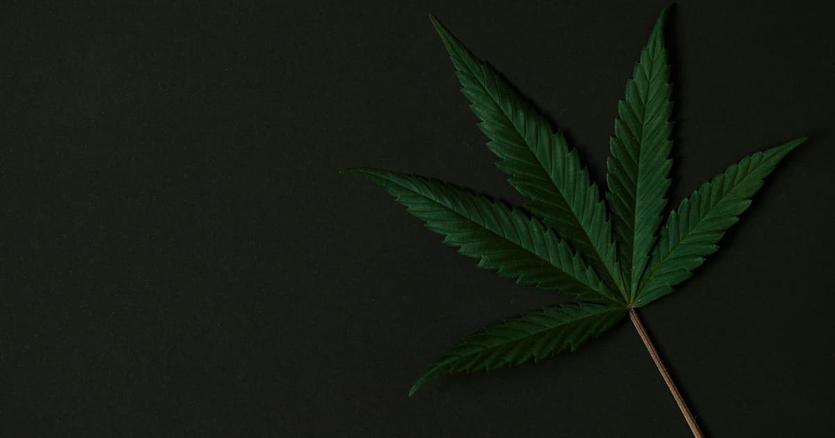 Carolindica Introduces Hemp-Derived Nano THC Pops for a Unique Summer Experience