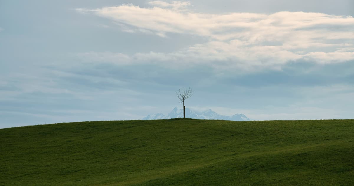 Silvercorp Metals Advances ESG Initiatives While Expanding Mining Operations in China and Ecuador