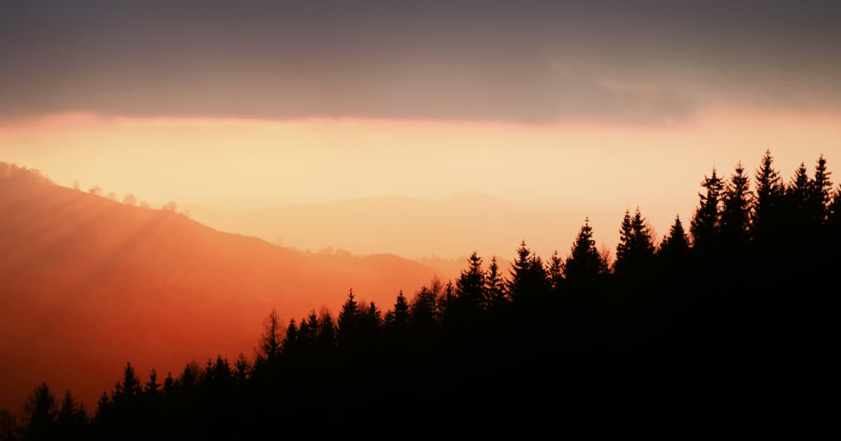 SpiritualHealers.com Founder Eve Wilson Launches Global Ascension Events to Support Collective Healing