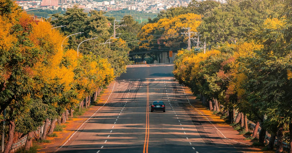 Love Island Mango Jam: Capturing Guam's Essence in a Jar