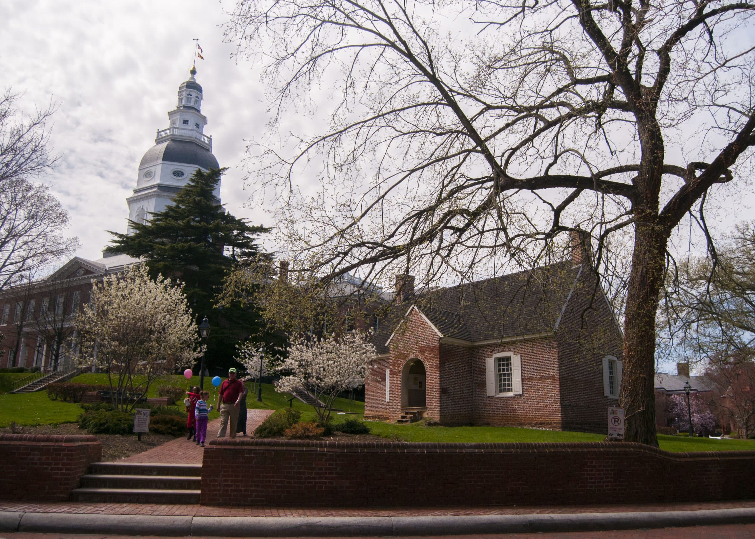 Maryland Faces Critical Policy Decisions on Healthcare, Sentencing, and Energy