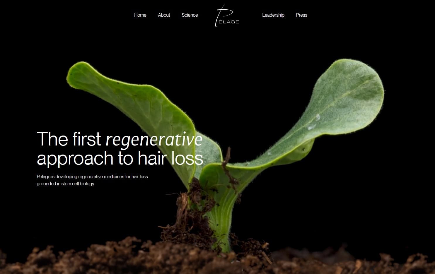 Pelage Pharmaceuticals Secures $120 Million Series B Funding for Regenerative Hair Growth Therapy