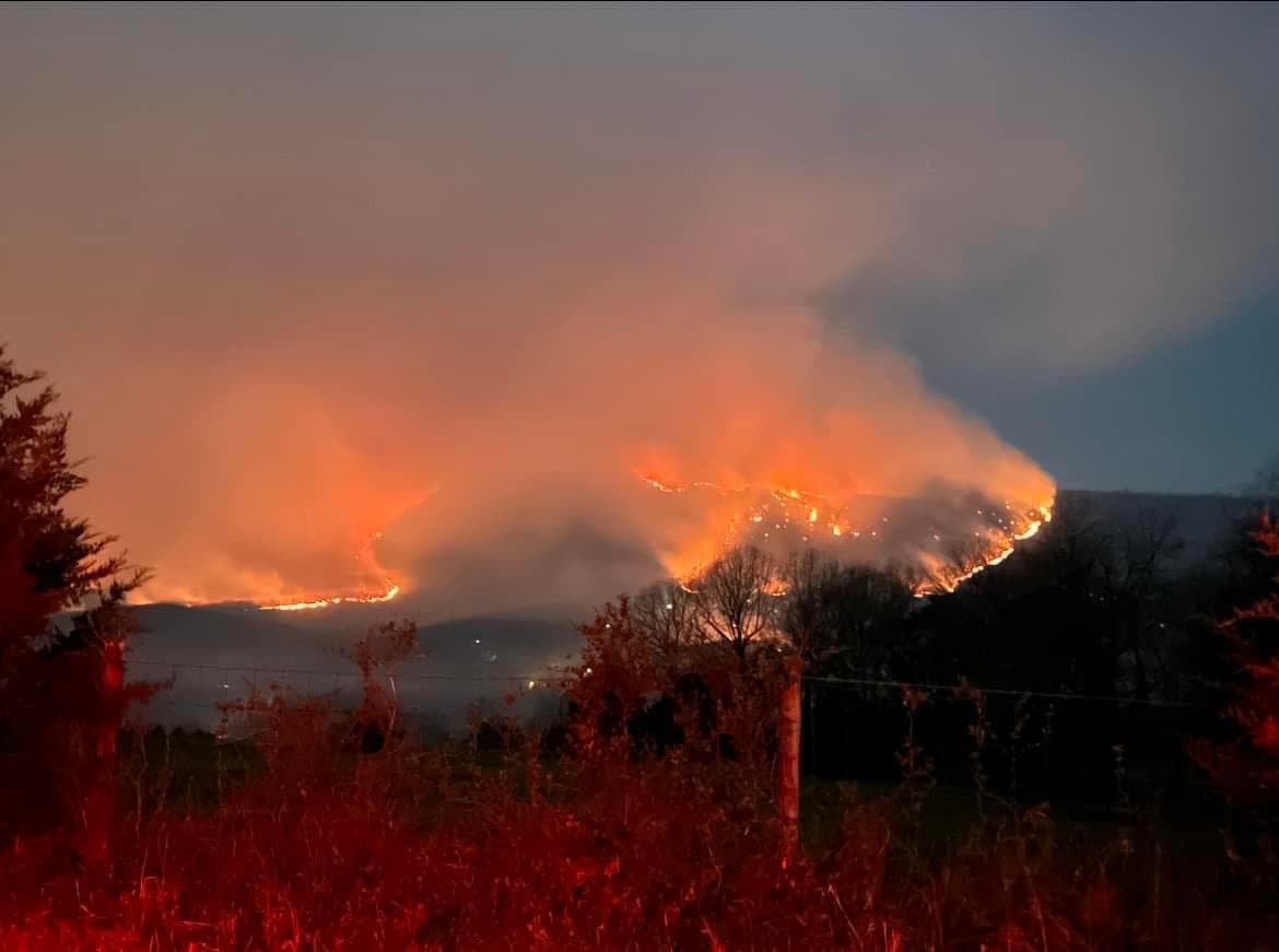 Wildfire Smoke Poses Significant Heart Health Risks, Warns American Heart Association