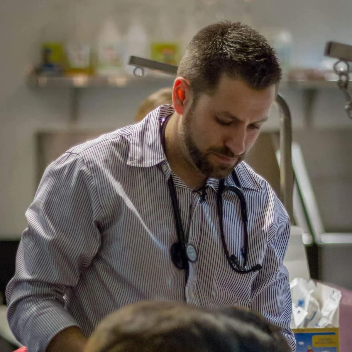 Governor Newsom Appoints Dr. Steve Manyak to California Veterinary Medical Board