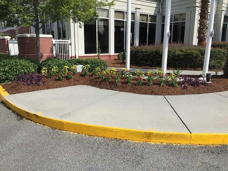 Turf Scouts Celebrates 15 Years of Lawn Care Services in Savannah and Isle of Hope