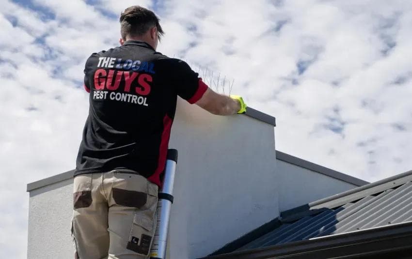 Trusted Pest Control Services Expand in Christchurch with Eco-Friendly Solutions