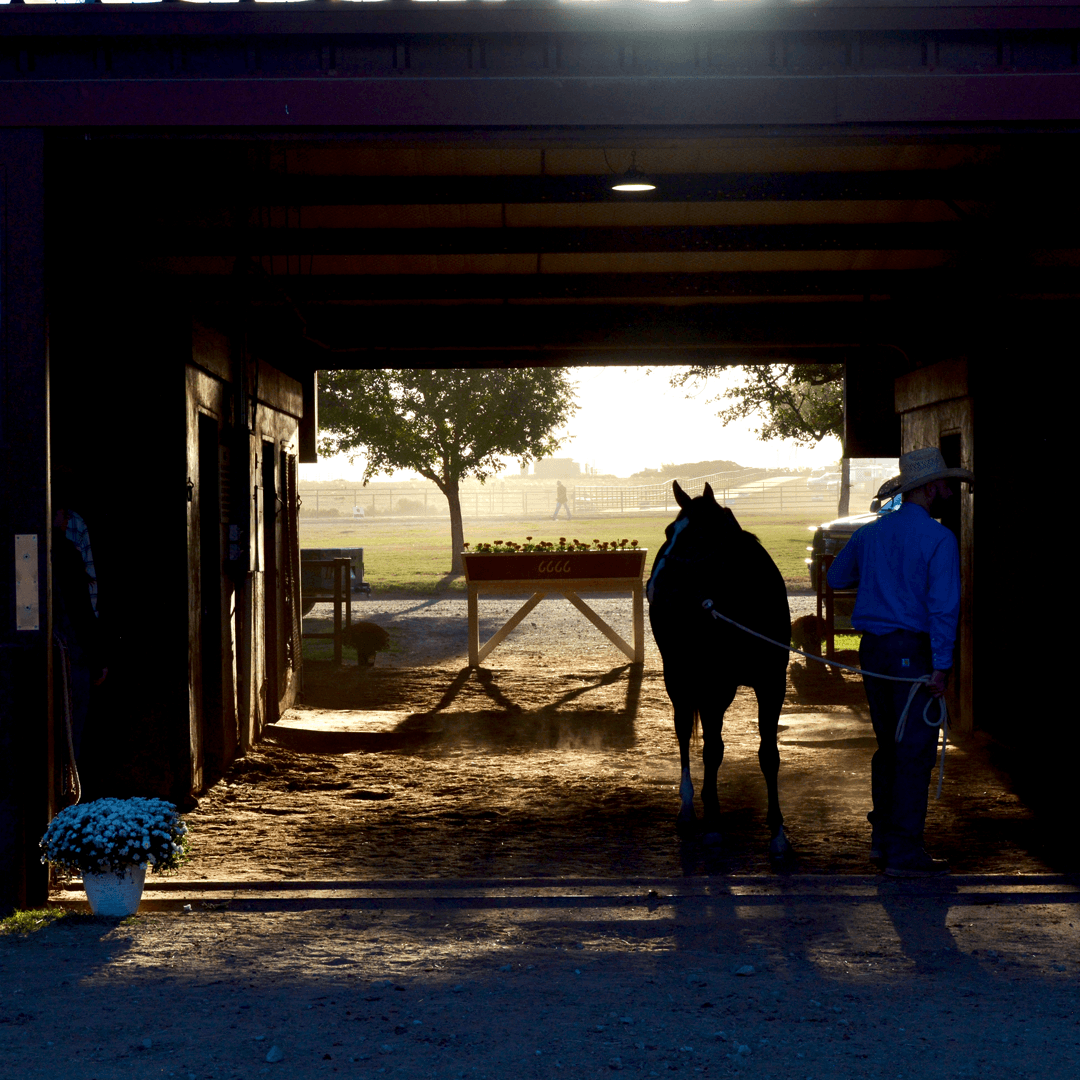Four Sixes Ranch Reveals Comprehensive Sales Preparation Strategy for Equine Excellence