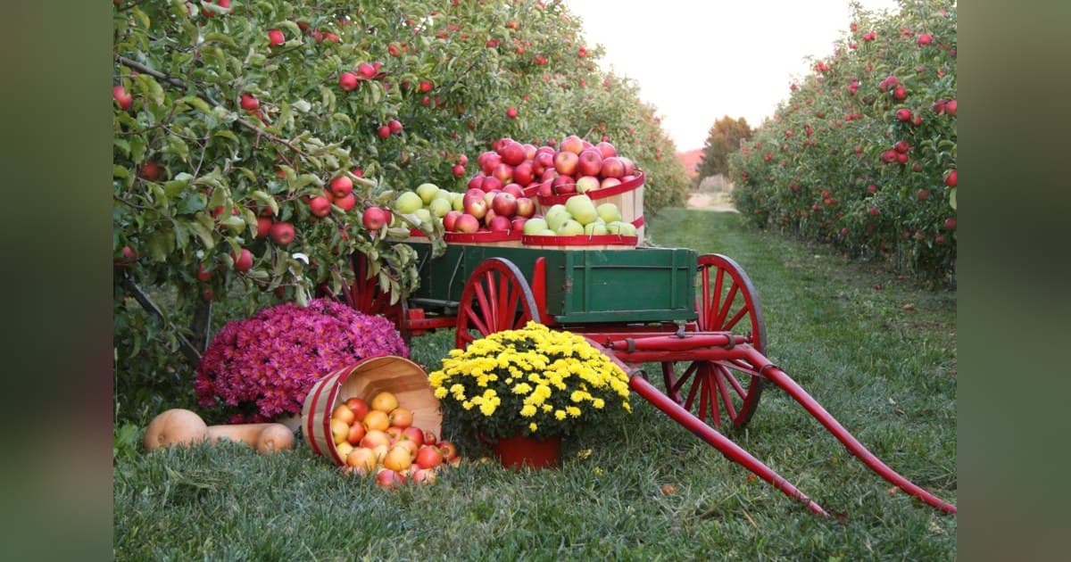 Whispering Pines Fruit Farm: From Bankrupt Country Store to Thriving Bulk Food Market